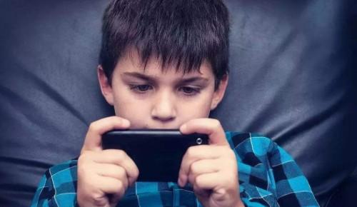 《适当的玩电子游戏》-小学五年级的男孩迷恋网络游戏，不让玩就不学习，家长该怎么办？